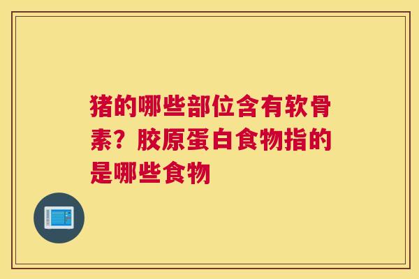 猪的哪些部位含有软骨素？胶原蛋白食物指的是哪些食物