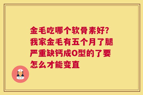 金毛吃哪个软骨素好?我家金毛有五个月了腿严重缺钙成O型的了要怎么才能变直