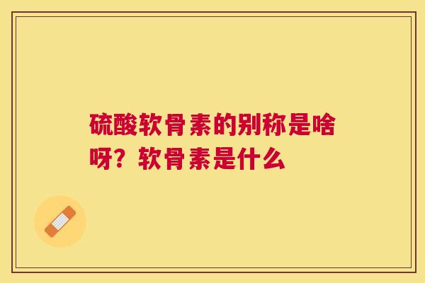 硫酸软骨素的别称是啥呀?软骨素是什么