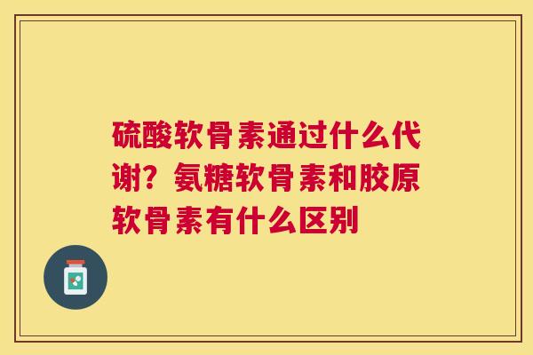 硫酸软骨素通过什么代谢？氨糖软骨素和胶原软骨素有什么区别