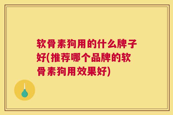 软骨素狗用的什么牌子好(推荐哪个品牌的软骨素狗用效果好)