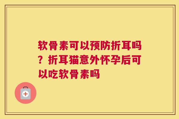 软骨素可以折耳吗?折耳猫意外怀孕后可以吃软骨素吗 软骨素可以折耳吗?折耳猫意外怀孕后可以吃软骨素吗