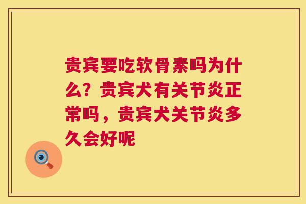 贵宾要吃软骨素吗为什么?贵宾犬有关节炎正常吗,贵宾犬关节炎多久会好呢