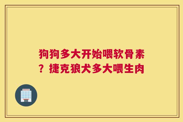 狗狗多大开始喂软骨素?捷克狼犬多大喂生肉
