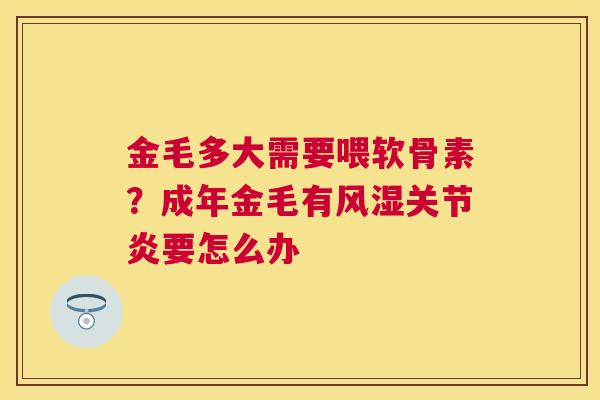 金毛多大需要喂软骨素?成年金毛有风湿关节炎要怎么办