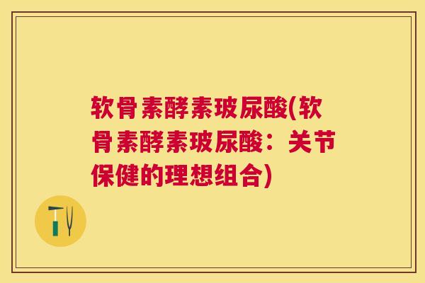 软骨素酵素玻尿酸(软骨素酵素玻尿酸：关节保健的理想组合)