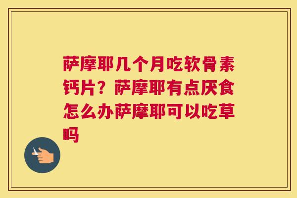 萨摩耶几个月吃软骨素钙片？萨摩耶有点厌食怎么办萨摩耶可以吃草吗
