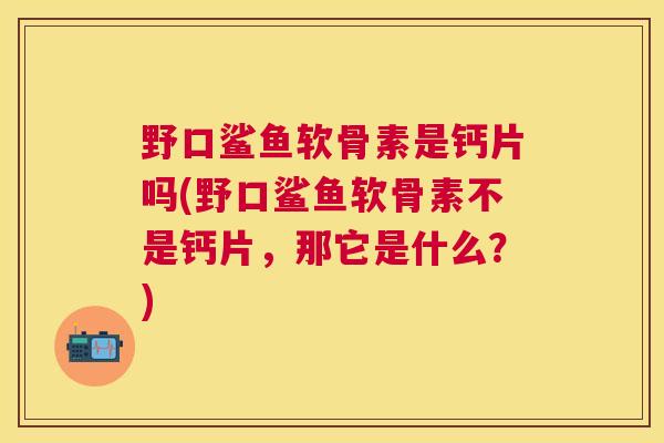 野口鲨鱼软骨素是钙片吗(野口鲨鱼软骨素不是钙片，那它是什么？)