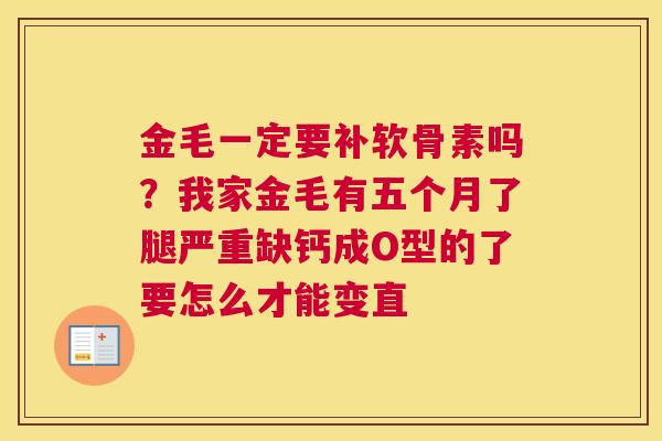 金毛一定要补软骨素吗？我家金毛有五个月了腿严重缺钙成O型的了要怎么才能变直