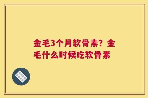 金毛3个月软骨素？金毛什么时候吃软骨素