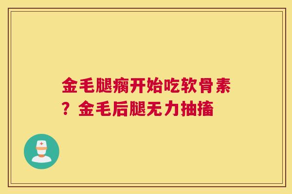 金毛腿瘸开始吃软骨素？金毛后腿无力抽搐