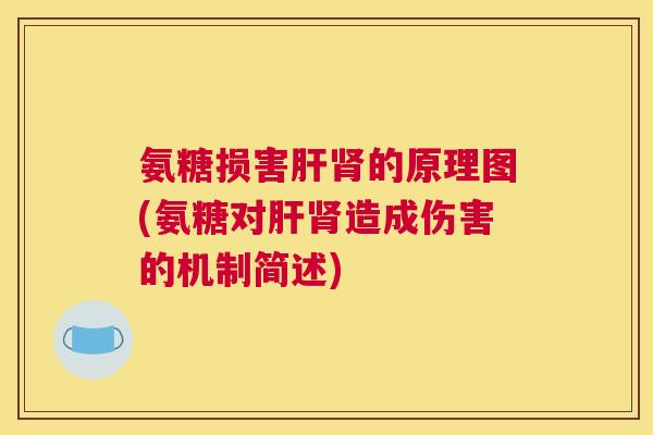 氨糖损害肝肾的原理图(氨糖对肝肾造成伤害的机制简述)