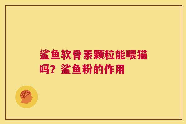 鲨鱼软骨素颗粒能喂猫吗?鲨鱼粉的作用