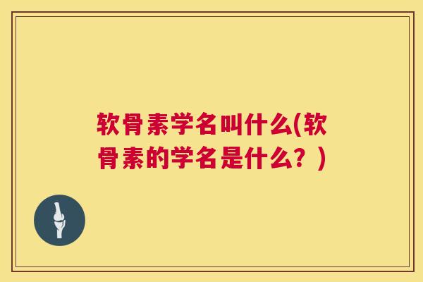 软骨素学名叫什么(软骨素的学名是什么?)