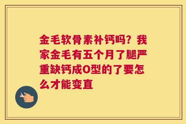 金毛软骨素补钙吗?我家金毛有五个月了腿严重缺钙成O型的了要怎么才能变直
