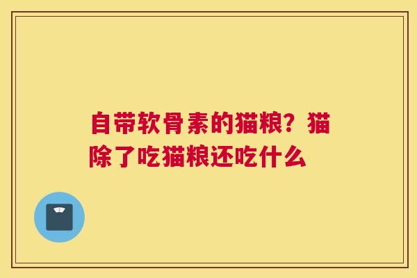 自带软骨素的猫粮？猫除了吃猫粮还吃什么