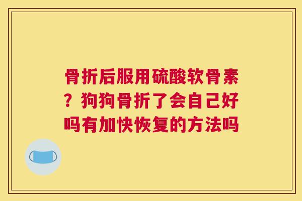 骨折后服用硫酸软骨素?狗狗骨折了会自己好吗有加快恢复的方法吗