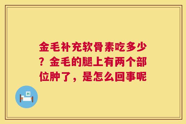 金毛补充软骨素吃多少?金毛的腿上有两个部位肿了,是怎么回事呢