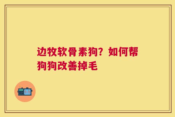 边牧软骨素狗?如何帮狗狗改善掉毛