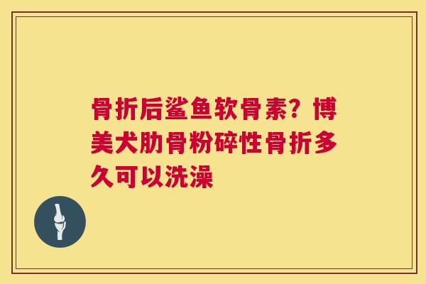 骨折后鲨鱼软骨素?博美犬肋骨粉碎性骨折多久可以洗澡
