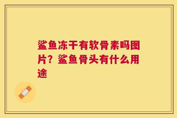 鲨鱼冻干有软骨素吗图片？鲨鱼骨头有什么用途