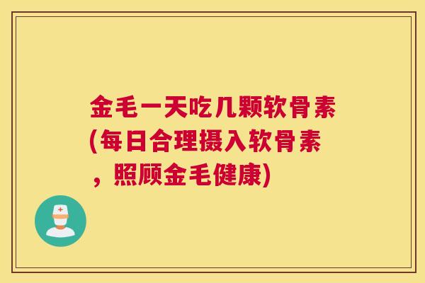 金毛一天吃几颗软骨素(每日合理摄入软骨素,照顾金毛健康)