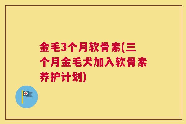 金毛3个月软骨素(三个月金毛犬加入软骨素养护计划)