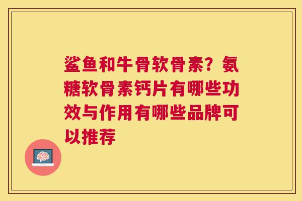 鲨鱼和牛骨软骨素？氨糖软骨素钙片有哪些功效与作用有哪些品牌可以推荐