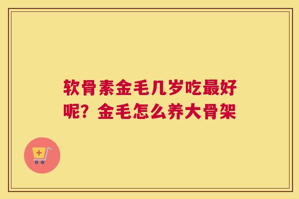 软骨素金毛几岁吃最好呢?金毛怎么养大骨架