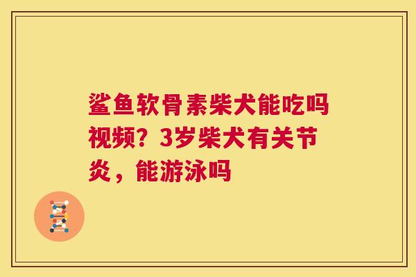 鲨鱼软骨素柴犬能吃吗视频？3岁柴犬有，能游泳吗