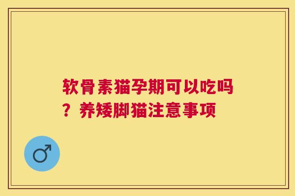 软骨素猫孕期可以吃吗？养矮脚猫注意事项