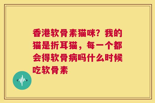香港软骨素猫咪?我的猫是折耳猫,每一个都会得软骨病吗什么时候吃软骨素