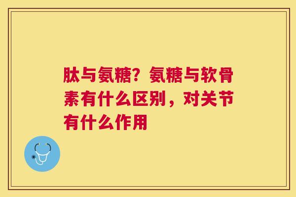 肽与氨糖?氨糖与软骨素有什么区别,对关节有什么作用 肽与氨糖?氨糖与软骨素有什么区别,对关节有什么作用