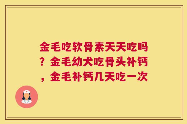 金毛吃软骨素天天吃吗?金毛幼犬吃骨头补钙,金毛补钙几天吃一次 金毛吃软骨素天天吃吗?金毛幼犬吃骨头补钙,金毛补钙几天吃一次