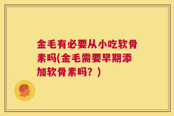 金毛有必要从小吃软骨素吗(金毛需要早期添加软骨素吗?)
