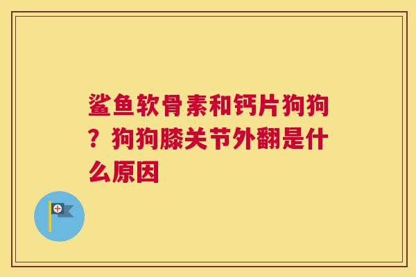 鲨鱼软骨素和钙片狗狗?狗狗膝关节外翻是什么原因
