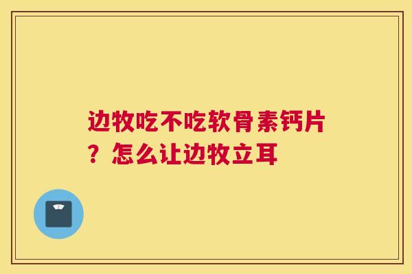 边牧吃不吃软骨素钙片？怎么让边牧立耳