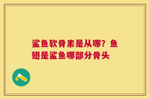 鲨鱼软骨素是从哪？鱼翅是鲨鱼哪部分骨头