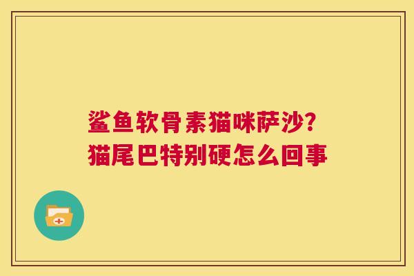 鲨鱼软骨素猫咪萨沙?猫尾巴特别硬怎么回事