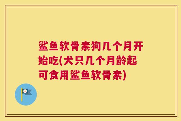 鲨鱼软骨素狗几个月开始吃(犬只几个月龄起可食用鲨鱼软骨素) 鲨鱼软骨素狗几个月开始吃(犬只几个月龄起可食用鲨鱼软骨素)