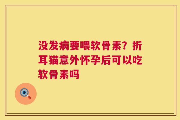 没发病要喂软骨素?折耳猫意外怀孕后可以吃软骨素吗