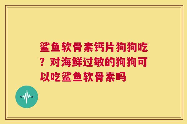 鲨鱼软骨素钙片狗狗吃?对海鲜过敏的狗狗可以吃鲨鱼软骨素吗