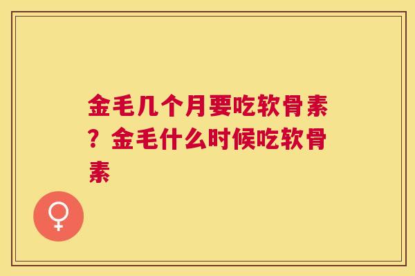 金毛几个月要吃软骨素?金毛什么时候吃软骨素