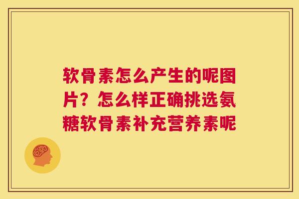 软骨素怎么产生的呢图片？怎么样正确挑选氨糖软骨素补充营养素呢