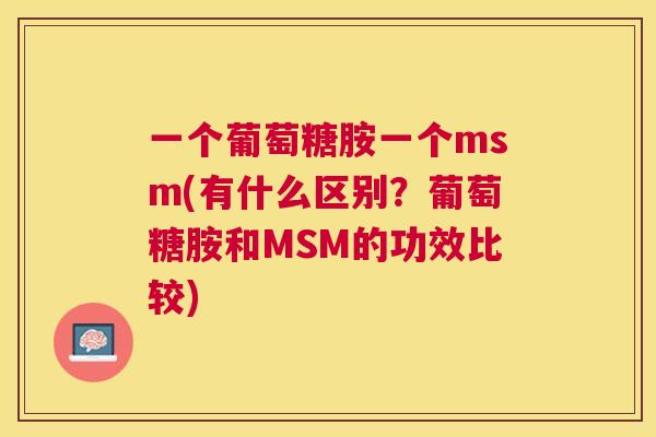 一个葡萄糖胺一个msm(有什么区别?葡萄糖胺和MSM的功效比较)