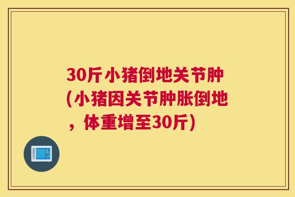 30斤小猪倒地关节肿(小猪因关节倒地,体重增至30斤) 30斤小猪倒地关节肿(小猪因关节倒地,体重增至30斤)