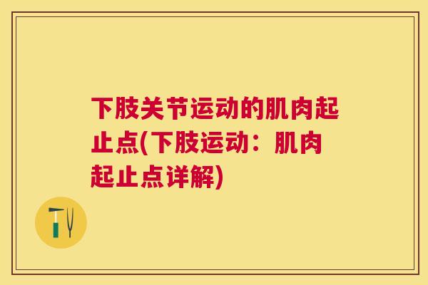 下肢关节运动的肌肉起止点(下肢运动:肌肉起止点详解)