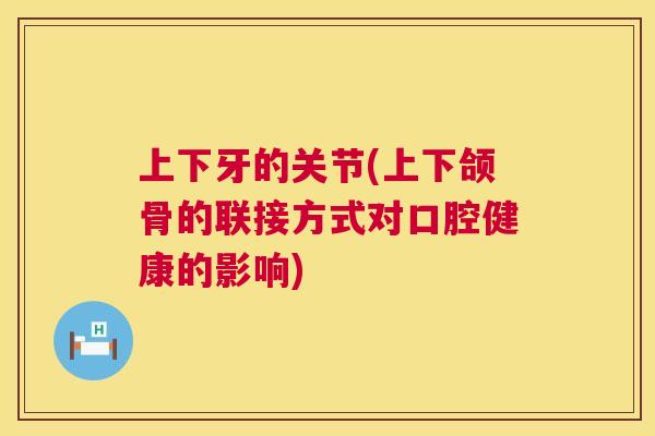 上下牙的关节(上下颌骨的联接方式对口腔健康的影响)