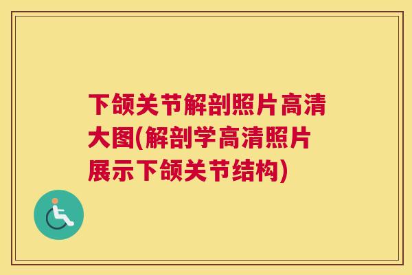 下颌关节解剖照片高清大图(解剖学高清照片展示下颌关节结构)