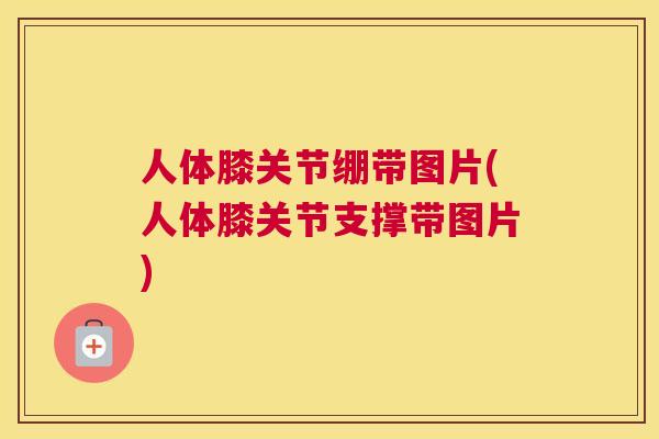 人体膝关节绷带图片(人体膝关节支撑带图片)